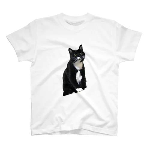 行儀の良い猫 Regular Fit T-Shirt