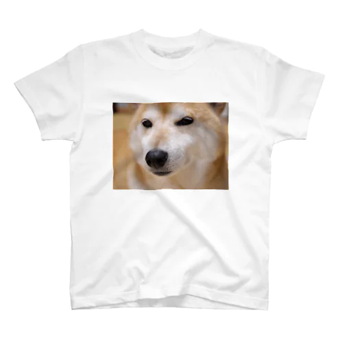 すまし顔の柴犬♂ Regular Fit T-Shirt