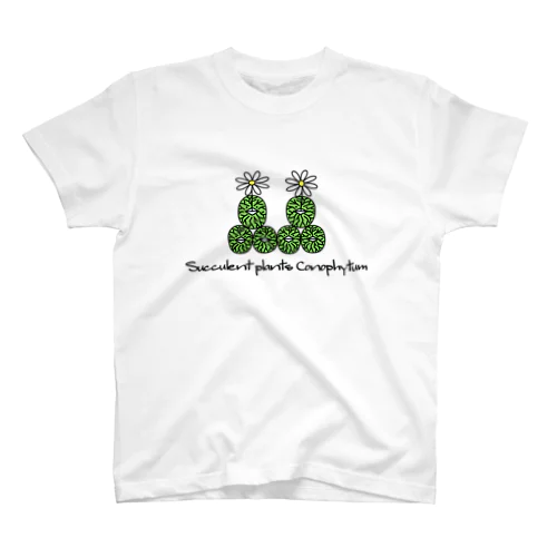 多肉植物 コノフィツム ウィッテベルゲンセ Succulent plants Conophytum Wittebergense イラスト Regular Fit T-Shirt