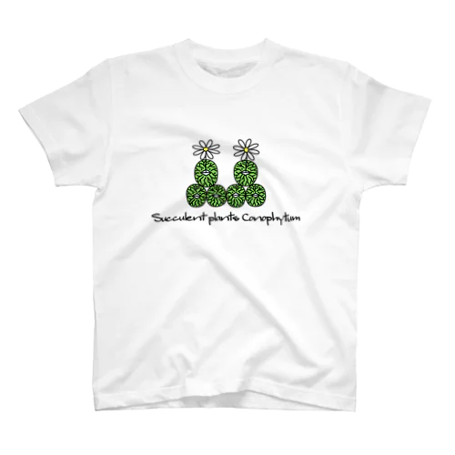 多肉植物 コノフィツム ウィッテベルゲンセ Succulent plants Conophytum Wittebergense イラスト スタンダードTシャツ