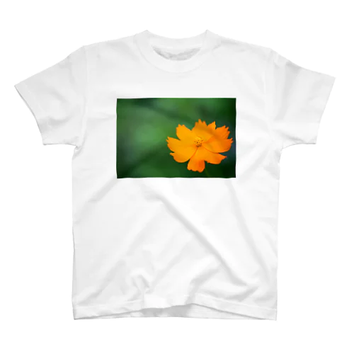 キバナコスモス スタンダードTシャツ