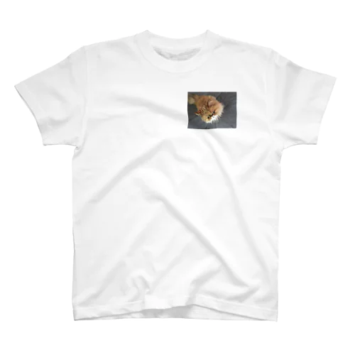 ぶちゃ猫・茶々丸 Regular Fit T-Shirt