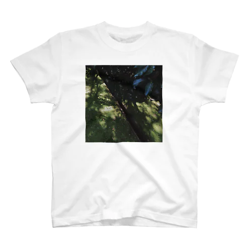 藻アートTshirt Regular Fit T-Shirt