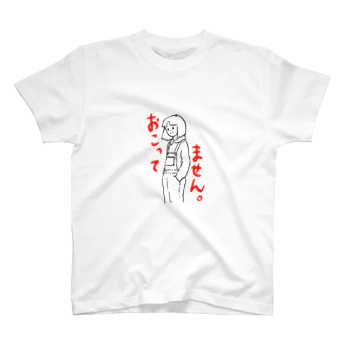 おこってません。 スタンダードTシャツ