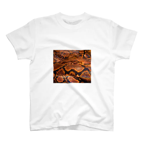 Real colorful snake skin Nr. 8,  本物 の カラフルな ヘビ 皮 No. 8,  8番 スタンダードTシャツ