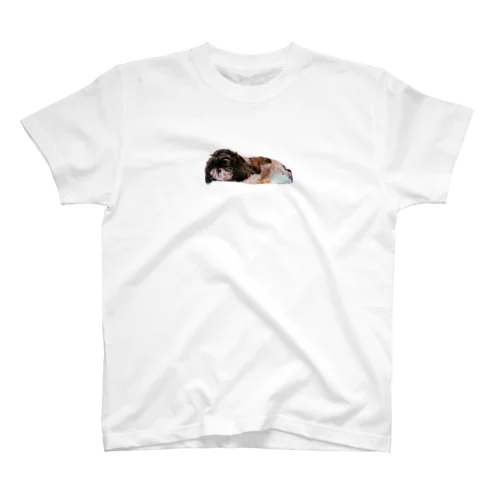 sleepy Shih Tzu Regular Fit T-Shirt