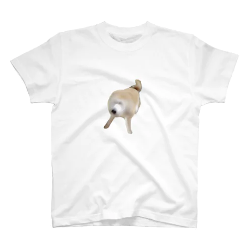 ぶるぶるMOCOTA Regular Fit T-Shirt