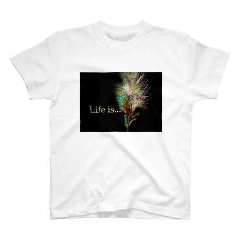 Shiney Feather Regular Fit T-Shirt