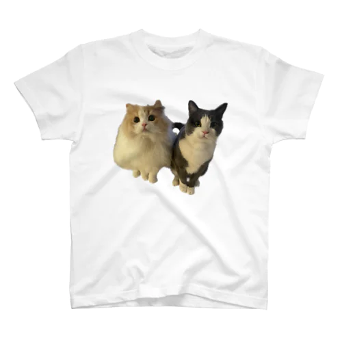 猫  スタンダードTシャツ