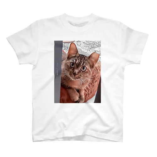 地域猫のおチビちゃん スタンダードTシャツ