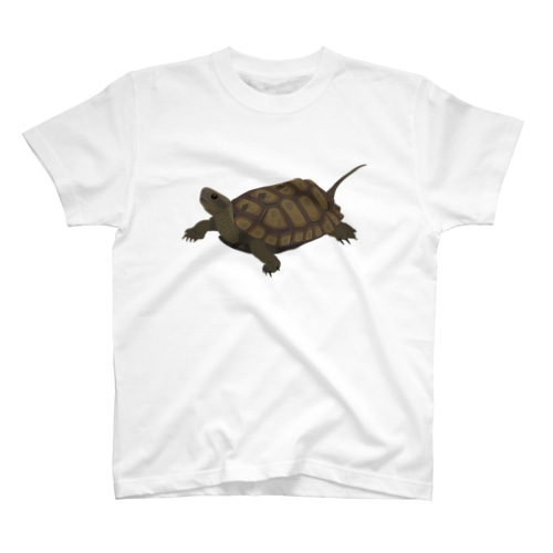 ニホンイシガメ Regular Fit T-Shirt