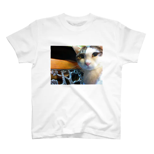 Cats Cool Face(CCF) Regular Fit T-Shirt