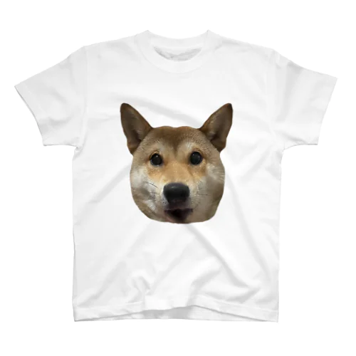 ショックを受けている柴犬 Regular Fit T-Shirt