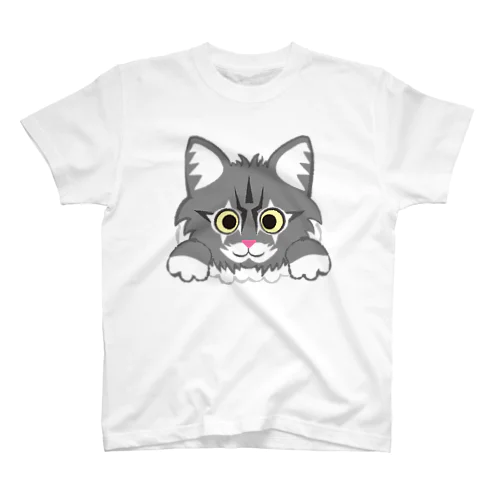 【ベイビー百（サイベリアン）】パーカー スタンダードTシャツ