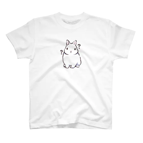 わかりませんの顔 スタンダードTシャツ