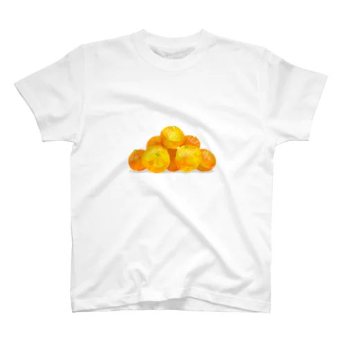 ひたすら蜜柑 Regular Fit T-Shirt