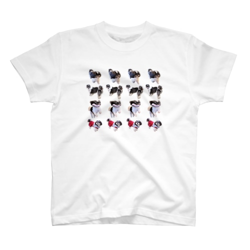 TAMA'S IPPAI Regular Fit T-Shirt