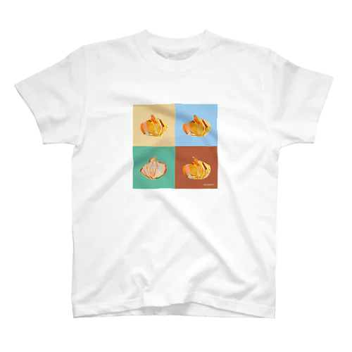 【全盲の画家】onions スタンダードTシャツ