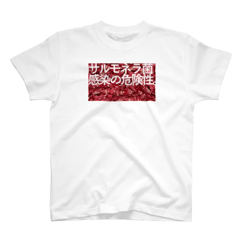 サルモネラ菌感染の危険性 スタンダードTシャツ