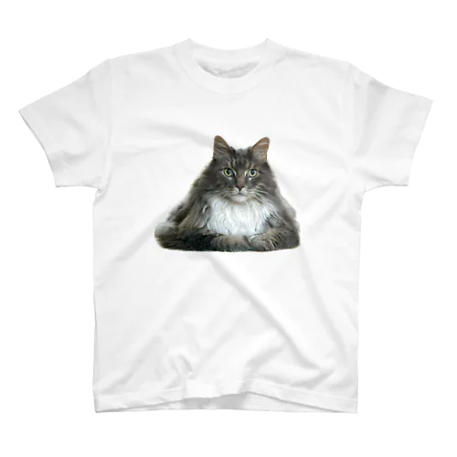 ねこ Regular Fit T-Shirt