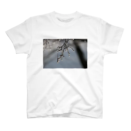 枝に雨の水滴 Regular Fit T-Shirt
