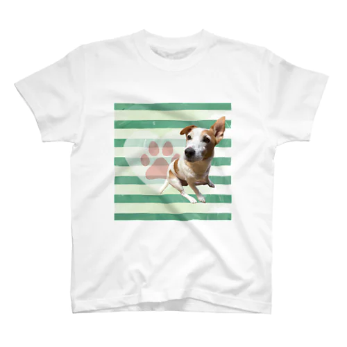 ジャックラッセルテリア Regular Fit T-Shirt