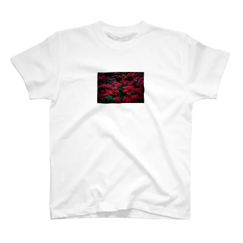 彼岸花 Regular Fit T-Shirt