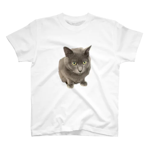 ねこ Regular Fit T-Shirt