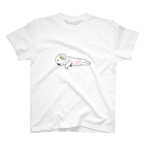 KRING TEE TETO01 スタンダードTシャツ