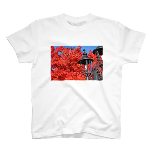 真っ赤な紅葉 - Beautiful red leaves - スタンダードTシャツ