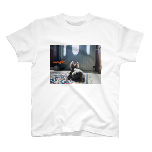 a dog waiting for... スタンダードTシャツ