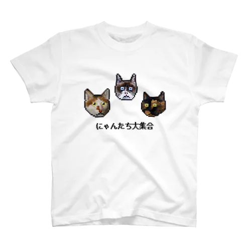 わが家のにゃんたち大集合.com Regular Fit T-Shirt