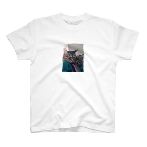 愛猫・かめたろさん スタンダードTシャツ