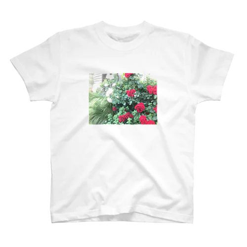 中野で撮った花 スタンダードTシャツ