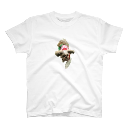 さん14 Regular Fit T-Shirt