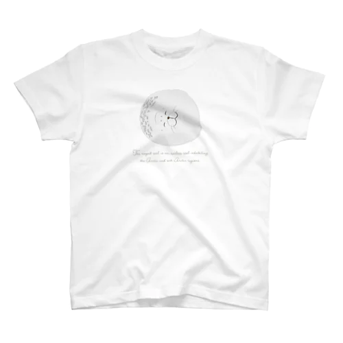 スヤスヤ ワモンアザラシ sleeping ringed seal スタンダードTシャツ