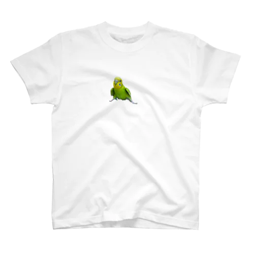 セキセイインコのアルとテン スタンダードTシャツ