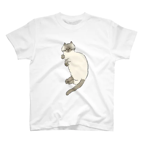 くつろぐねこ_005 Regular Fit T-Shirt