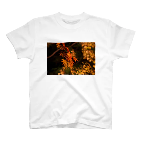 ライトアップ紅葉 - Japanese maple(night shot) - Regular Fit T-Shirt