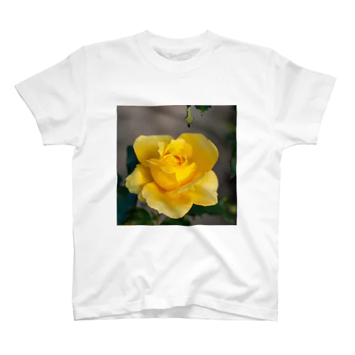 薔薇002 スタンダードTシャツ