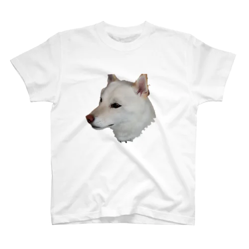 ガビガビの犬PNG　 Regular Fit T-Shirt