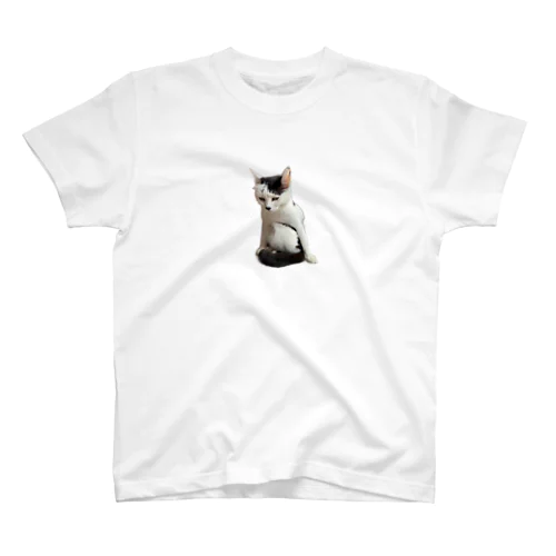 Kotsubu weird 猫 Regular Fit T-Shirt