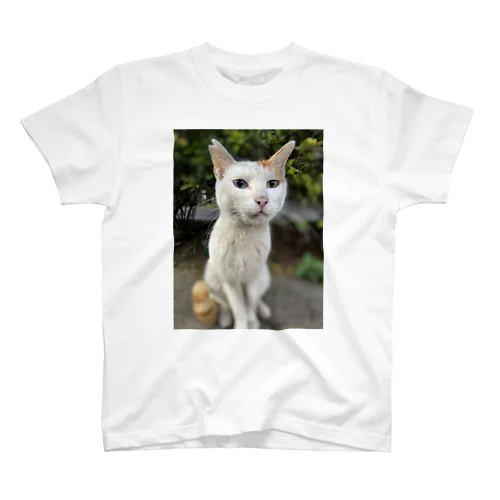 ねこここ スタンダードTシャツ