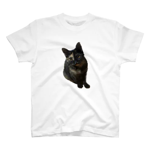 サビ猫くう スタンダードTシャツ