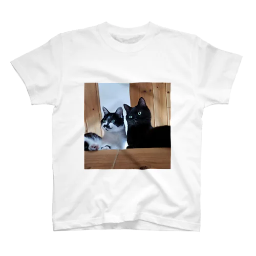 兄妹猫 スタンダードTシャツ
