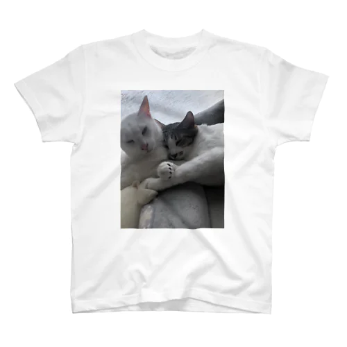 いおすい Regular Fit T-Shirt