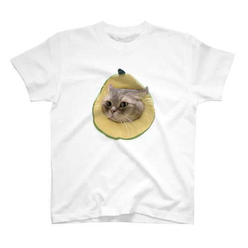 アボT Regular Fit T-Shirt