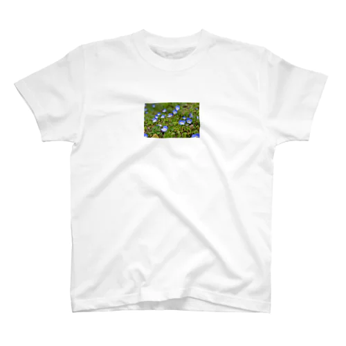 blueay スタンダードTシャツ