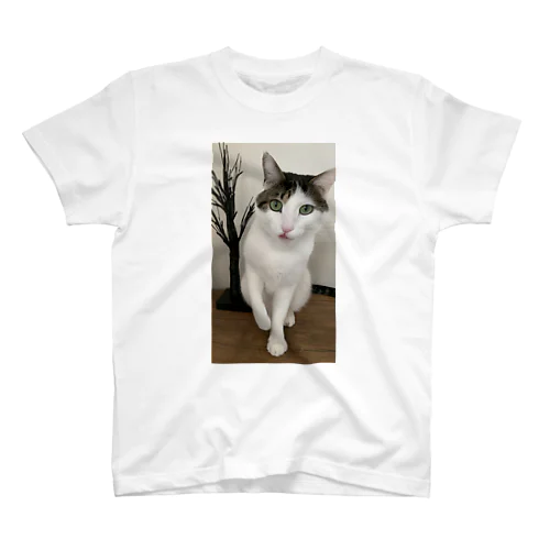 猫の紋さん(ペロリ) スタンダードTシャツ