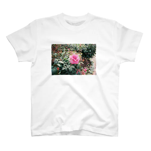 Pink Rose Film Regular Fit T-Shirt